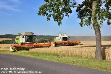 eup-1136978171-c29d6bf0033a82f7d7a4ca20d8c7fdbe-1596539513_big.webp eup-1136978171-c29d6bf0033a82f7d7a4ca20d8c7fdbe-1596539513_big.webp