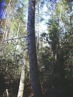 138329212652735cde76699.jpg