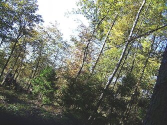 138329214452735cf0dd844.jpg