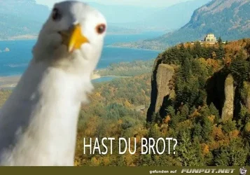 0aa05af6a8e1e6d0.webp 0aa05af6a8e1e6d0.webp