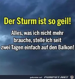 6f146a3284c5c6a6.webp