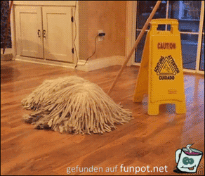 3cd0d575386d7fa3.gif 3cd0d575386d7fa3.gif