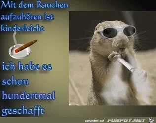 3604ba911b658554.webp 3604ba911b658554.webp
