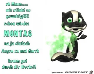 c1799a1feba29d81.webp