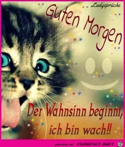63cc3d582cb85428.webp