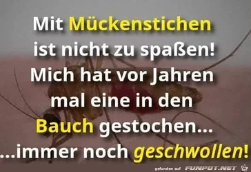 960be3875824ba11.webp