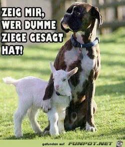 8361d9e41e2daea5.webp 8361d9e41e2daea5.webp