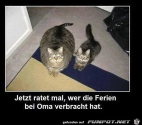 c13e43e56bbe9514.webp c13e43e56bbe9514.webp