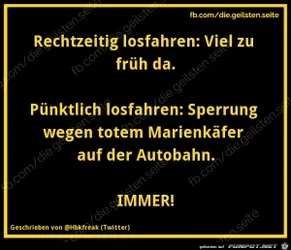 aef2cd940f2265ff_x300_y000.webp