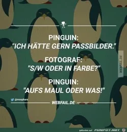 2b427cfcba80c1af_x300_y000.webp