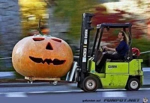 522128ec77c66fc9_x300_y000.webp