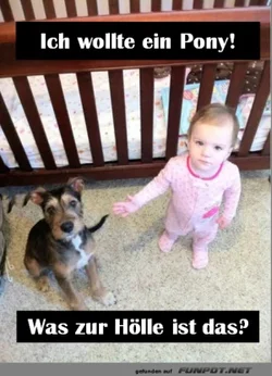 a633e13cf83e1cc0_x300_y000.webp