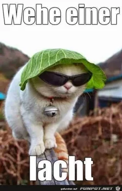 891dc12c3297f31d_x300_y000.webp