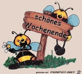 6a294e96cc05817f.webp