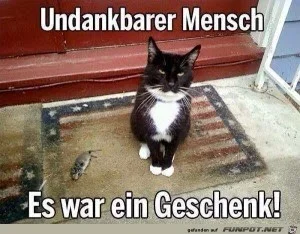 f9cfc8bd7718aa5d_x300_y000.webp