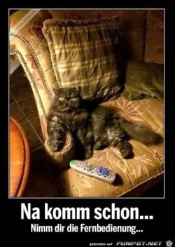 4c8a776fc7fc69d9_x300_y000.webp