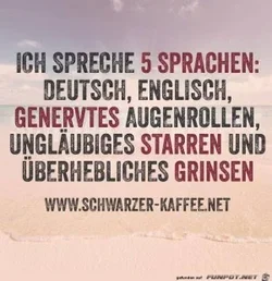 6155ca165fc2a10a_x300_y000.webp
