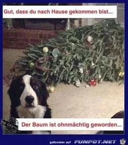 7d2144a6a7f8f2d0_x300_y000.webp