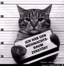 4777b7dcd5895933_x300_y000.webp
