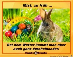 0ad9af6b993c837b_x300_y000.webp