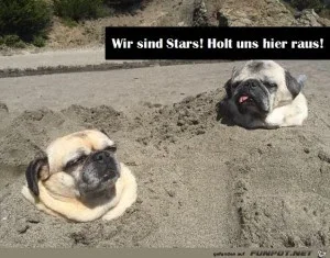 18bb8e4dd2912a98_x300_y000.webp