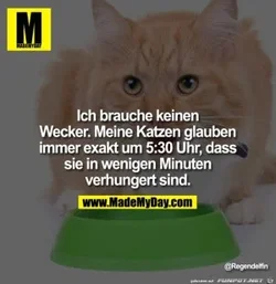 a2a1ad9779ddb4a9_x300_y000.webp a2a1ad9779ddb4a9_x300_y000.webp