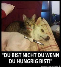 funpot0000005283_x400_y000.webp funpot0000005283_x400_y000.webp
