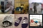 bced7ebe9566b0a4_x150_y100.webp bced7ebe9566b0a4_x150_y100.webp