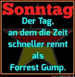 funpot0000009398_x300_y000.webp funpot0000009398_x300_y000.webp
