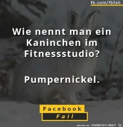 funpot0000024035_x400_y000.webp funpot0000024035_x400_y000.webp