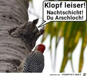 funpot0000027885_x300_y000.webp funpot0000027885_x300_y000.webp