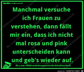 funpot0000012403_x400_y000.webp