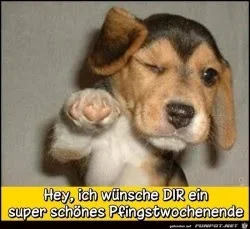 6ae326381aae1cfe_x250_y000.webp