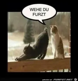 funpot0000041213_x300_y000.webp funpot0000041213_x300_y000.webp