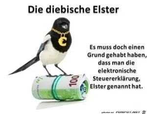 funpot0000039200_x300_y000.webp funpot0000039200_x300_y000.webp