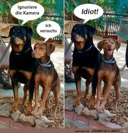 funpot0000038865_x300_y000.webp