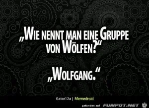 funpot0000044388_x300_y000.webp