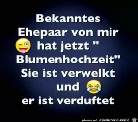 funpot0000049246_x400_y000.webp