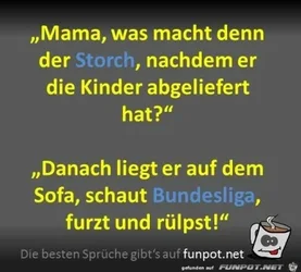 funpot0000048694_x400_y000.webp funpot0000048694_x400_y000.webp