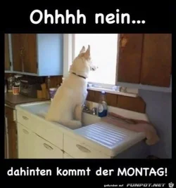 funpot0000052234_x400_y000.webp funpot0000052234_x400_y000.webp