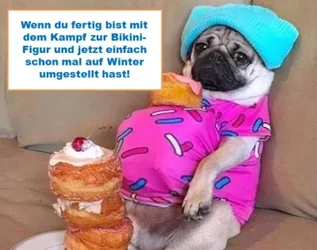 funpot0000056092_x400_y000.webp