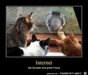 funpot0000055314_x300_y000.webp