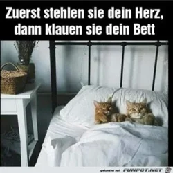 funpot0000054564_x300_y000.webp