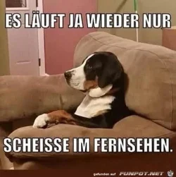 funpot0000059372_x300_y000.webp