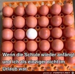 funpot0000058436_x300_y000.webp