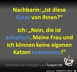 funpot0000059235_x400_y000.webp