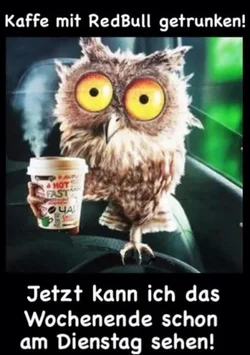 funpot0000059468_x400_y000.webp