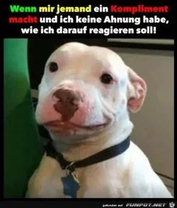 funpot0000059470_x300_y000.webp