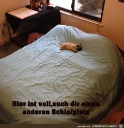 08ed8b648cd16c0c_x300_y000.webp