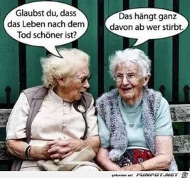 funpot0000063044_x300_y000.webp